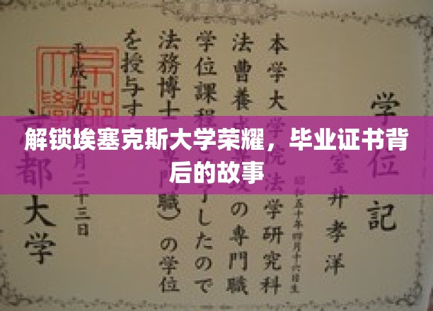 探寻埃塞克斯荣耀，毕业证书背后的传奇历程