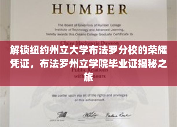 探索布法罗之光，解码纽约州立大学布法罗分校毕业证书的秘密宝藏