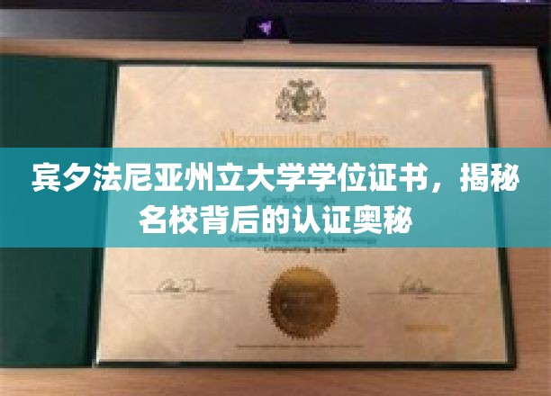 宾夕法尼亚州立大学学位证书，揭秘名校背后的认证奥秘