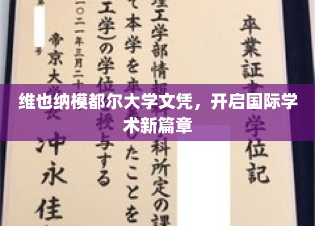 跨越国界，维也纳模都尔大学文凭铸就学术新航程