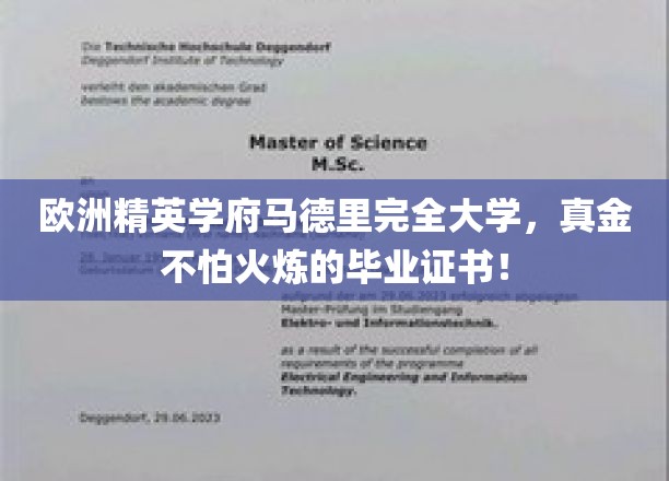 欧洲精英学府马德里完全大学，真金不怕火炼的毕业证书！