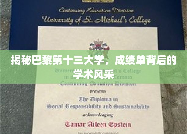 巴黎十三大学，成绩单背后的学术魅力探秘