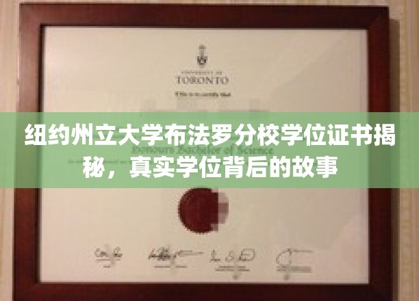探寻纽约州立大学布法罗分校学位证书背后的传奇故事