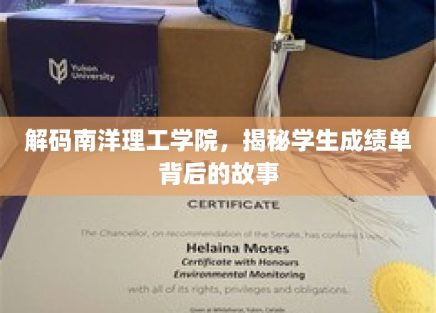 解码南洋理工学院，揭秘学生成绩单背后的故事