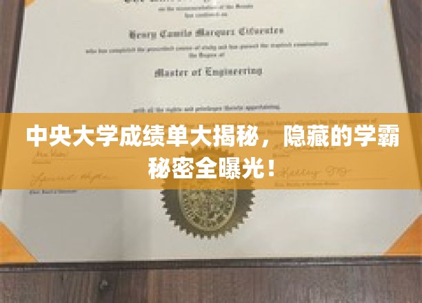 解码中央大学学霸圈，成绩单背后的惊人秘密大公开！
