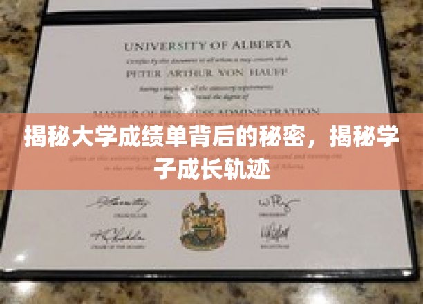 解码大学成绩单，学子成长轨迹的秘密面纱