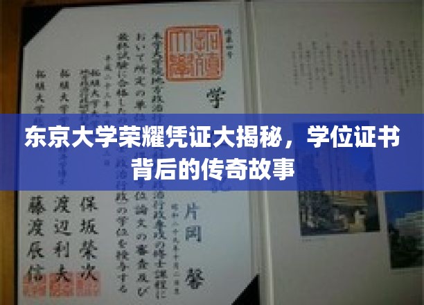 揭开东京大学学位证书神秘面纱，探寻荣耀背后的传奇篇章