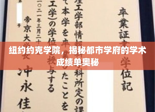 解码纽约约克学院，都市学府背后的学术实力揭秘