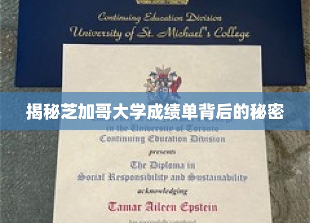 揭秘芝加哥大学成绩单背后的秘密