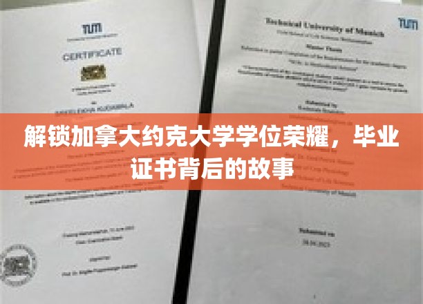 解锁加拿大约克大学学位荣耀，毕业证书背后的故事