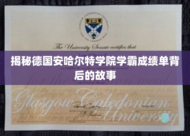 揭开德国安哈尔特学院学霸成绩单的神秘面纱