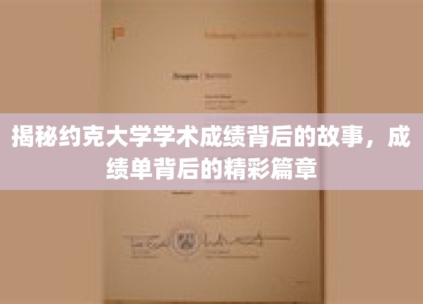 探秘约克大学，揭开学术成绩背后的辉煌历程