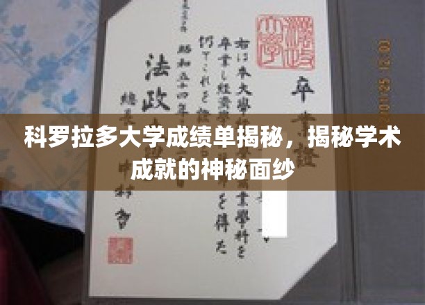 科罗拉多大学成绩单揭秘，揭开学术成就的神秘面纱