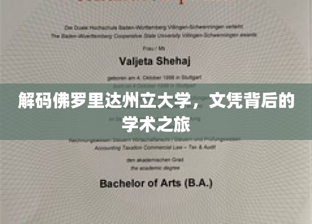 解码佛罗里达州立大学，文凭背后的学术之旅