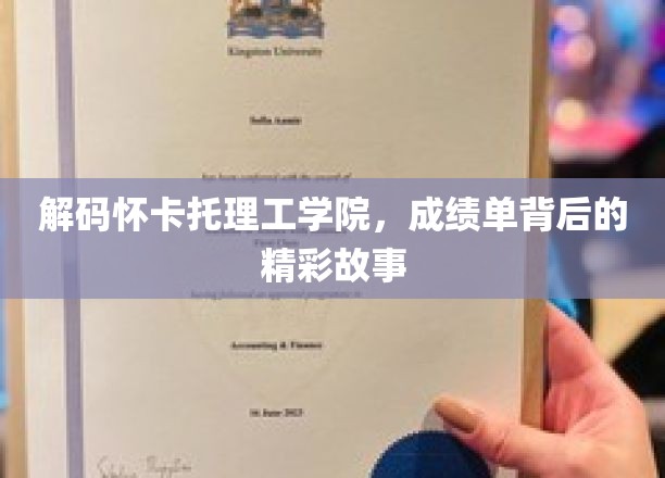 解码怀卡托理工学院，成绩单背后的精彩故事