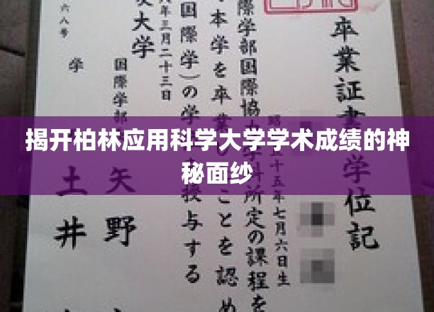 一窥柏林应用科学大学学术成绩的奥秘