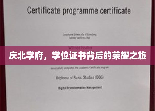 探寻庆北学府，学位证书背后的辉煌足迹