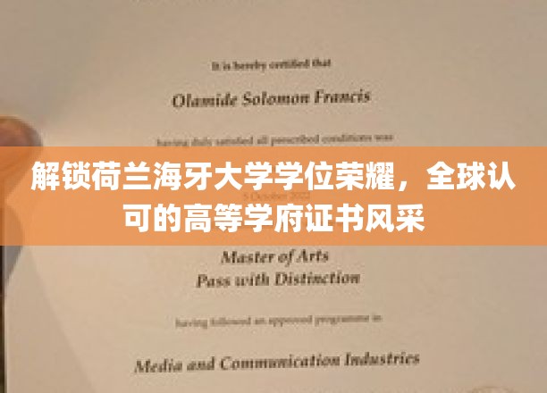 荷兰海牙大学学位之光，国际认可的卓越证书魅力绽放