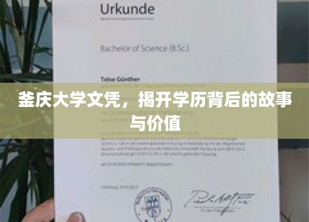 学历背后，釜庆大学文凭的非凡旅程与深层价值