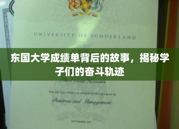 东国大学成绩单背后的故事，揭秘学子们的奋斗轨迹