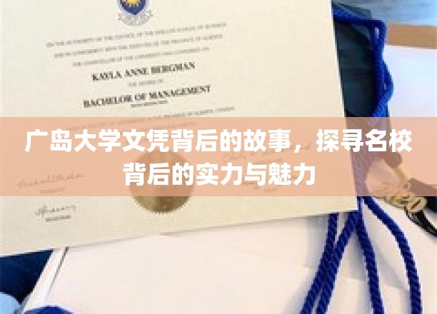 广岛大学文凭背后的传奇，揭秘名校实力与独特魅力