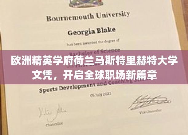 荷兰马斯特里赫特大学精英文凭，助力你迈向国际职场巅峰