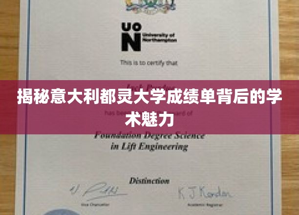 探秘都灵大学成绩单，一纸成绩单背后的学术风采