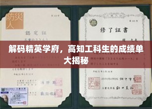 破译高知圈层，揭秘工科精英的真实成绩单
