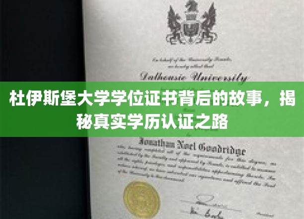 探寻杜伊斯堡大学学位证书之谜，揭秘学历认证的曲折历程