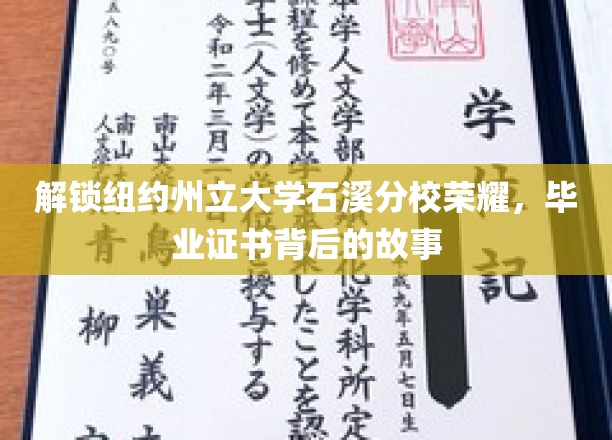 石溪荣耀揭秘，一纸毕业证书背后的传奇历程