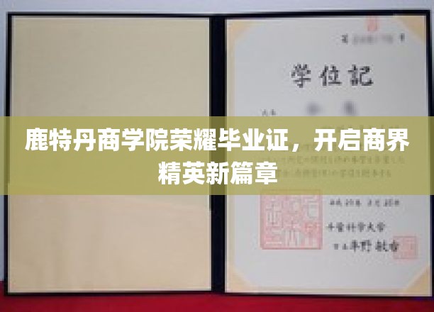 鹿特丹商学院荣耀毕业，商界新锐精英启航新征程