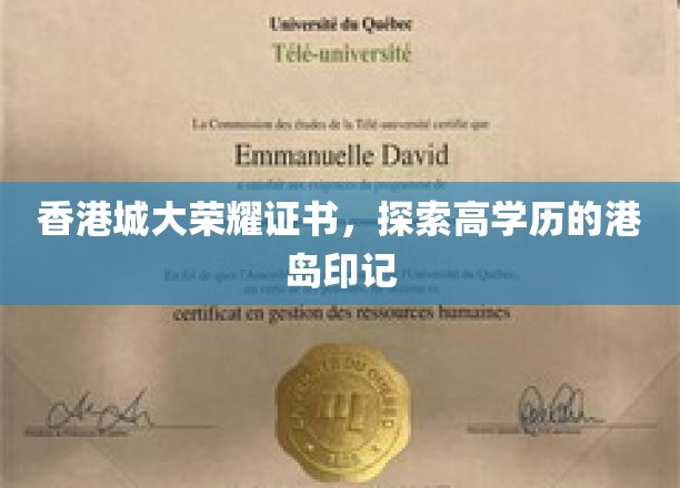香港城市大学荣耀证书，港岛高学历的印记
