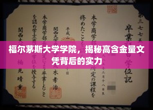 探秘福尔茅斯大学学院，高含金量文凭背后的卓越实力
