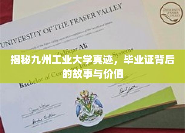 九州工业大学毕业证，探寻证书背后的传奇与价值