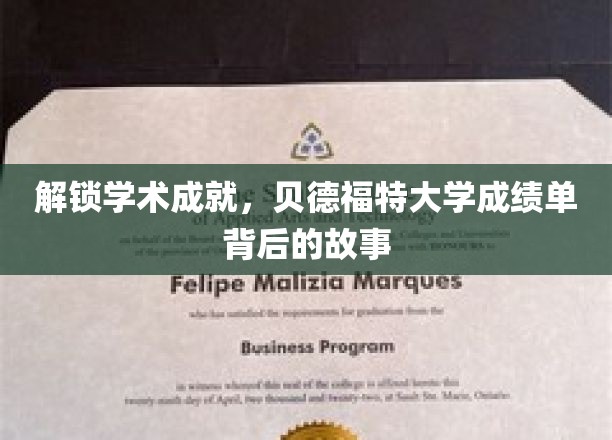 揭秘贝德福特大学成绩单背后的故事