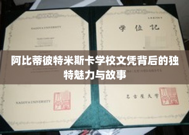 探寻阿比蒂彼特米斯卡学校文凭，背后的传奇色彩与深刻故事