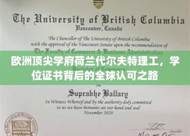 跨越国界，荷兰代尔夫特理工学位证书的全球通行证之路