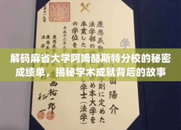 麻省大学阿姆赫斯特分校成绩单背后，探寻学子成就的奥秘之旅