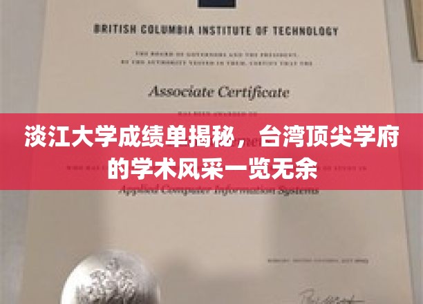 台湾顶尖学府淡江大学，揭秘成绩单背后的学术魅力
