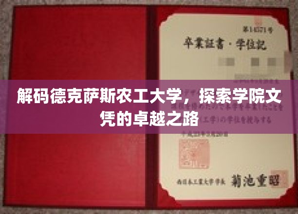 解锁德克萨斯农工大学，揭秘精英教育背后的辉煌成就