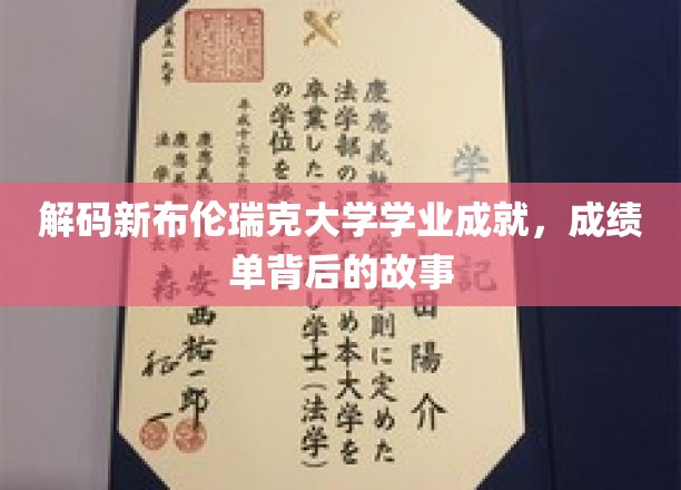 探索新布伦瑞克大学学子辉煌背后的学术奥秘
