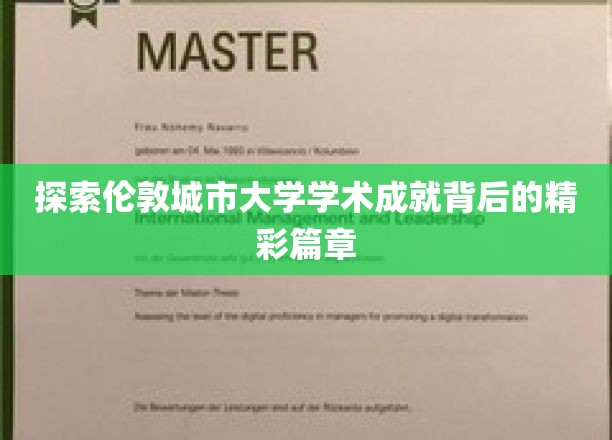 伦敦城市大学，揭秘学术璀璨背后的故事之旅