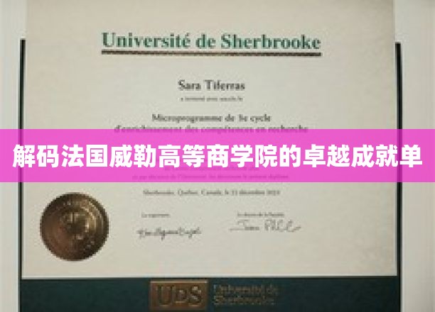 探寻法国威勒高等商学院的不凡传奇之路