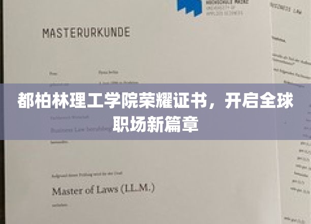 都柏林理工学院荣耀证书，开启全球职场新篇章