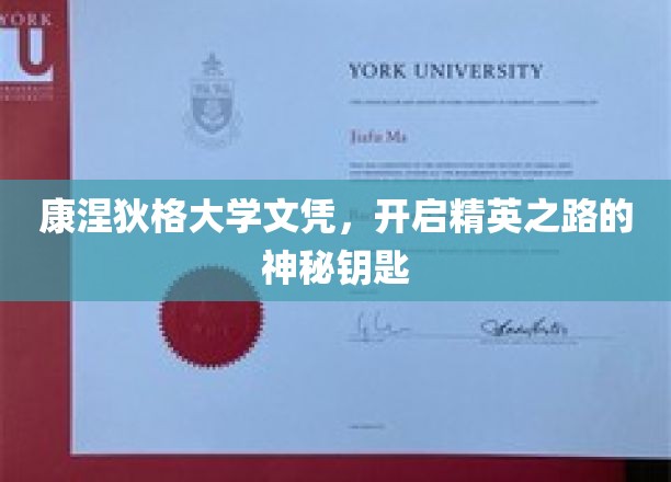 康涅狄格大学文凭，解锁精英人生的不传之谜