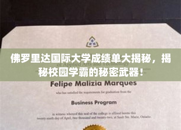 探索佛罗里达国际大学学霸们的秘密笔记，成绩单背后的惊人真相
