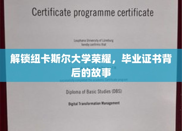 探寻纽卡斯尔大学荣耀，毕业证书背后的传奇历程