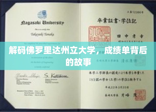 解码佛罗里达州立大学，成绩单背后的故事