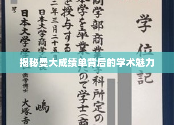 解码曼大成绩单，探寻学术之美的秘密通道