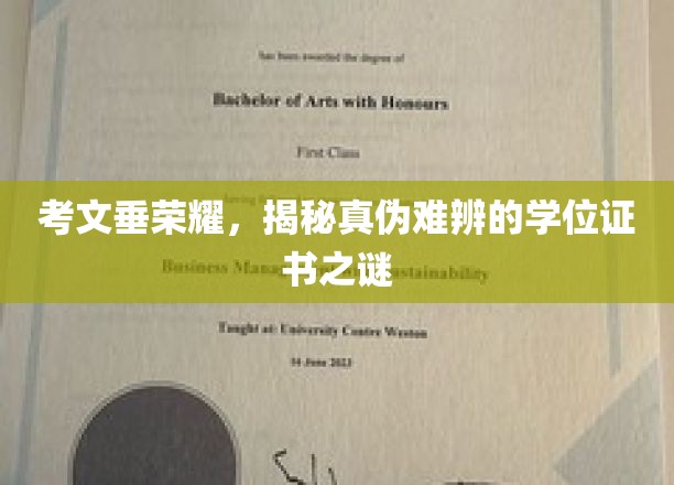 考文垂荣耀，揭秘真伪难辨的学位证书之谜